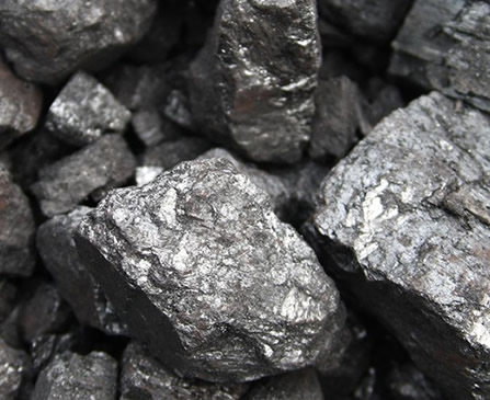 Campbell Bulk Haulage Coal